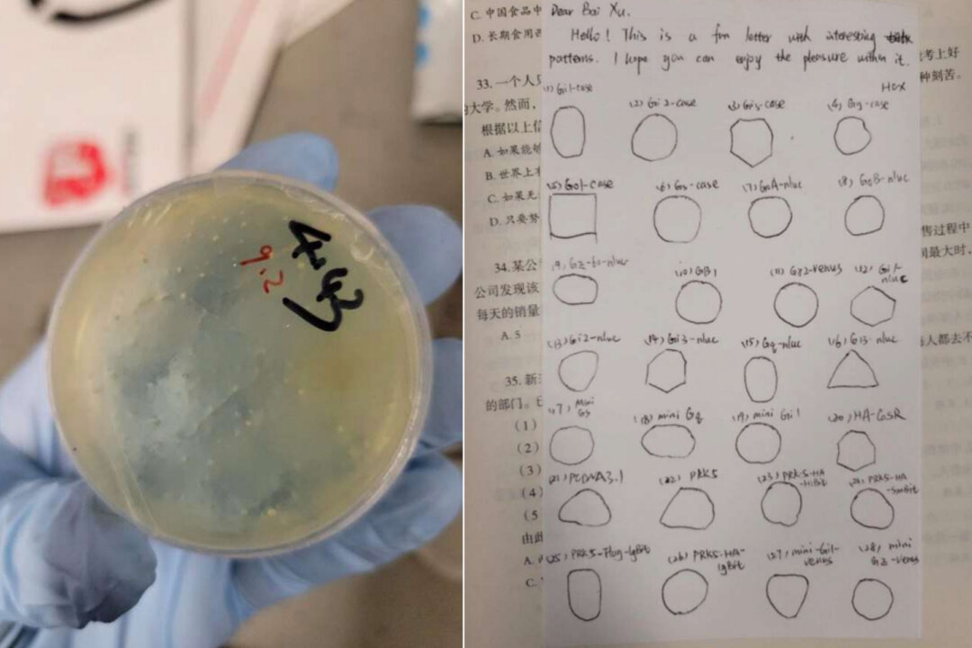 wuhan-researcher-charged-with-smuggling-biological-materials-into-us-lab
