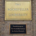 the-history-and-decline-of-the-education-system 