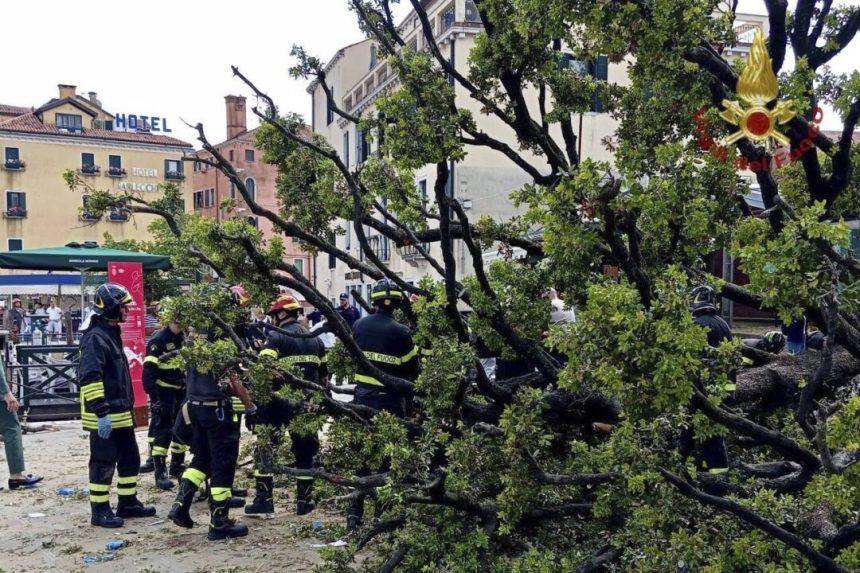 falling-tree-in-venice-injures-a-dozen-people,-including-foreign-tourists