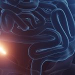why-the-appendix-is-much-more-important-than-we-once-thought