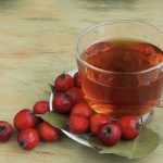 is-hawthorn-nature’s-quiet-cardiologist?