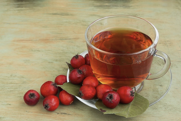 is-hawthorn-nature’s-quiet-cardiologist?