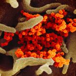 eu-officials-say-new-covid-variant-is-expected-to-rise-across-continent