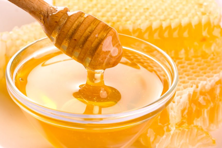 australian-native-honey-shows-promise-against-pathogens,-scientists-find