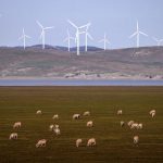 new-south-wales-puts-$80-million-on-the-table-to-spark-next-startup-boom