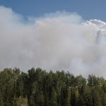 how-high-latitude-peat-and-forest-fires-could-shape-the-future-of-earth’s-climate