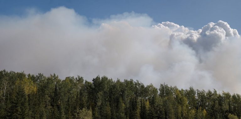how-high-latitude-peat-and-forest-fires-could-shape-the-future-of-earth’s-climate