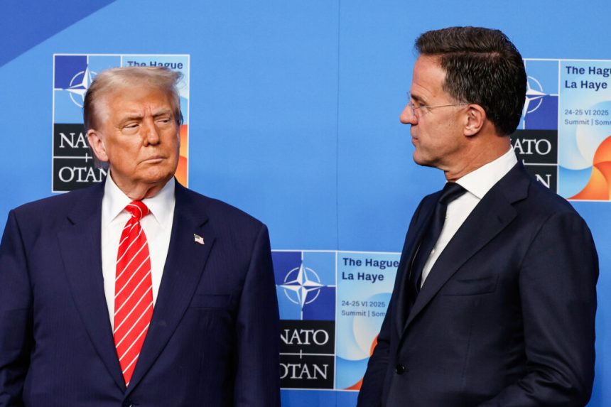 trump-accuses-spain-of-wanting-nato-‘free-ride’,-makes-trade-threat