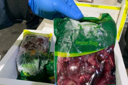 woman-jailed-for-illegally-importing-62,000-kilograms-of-black-market-produce