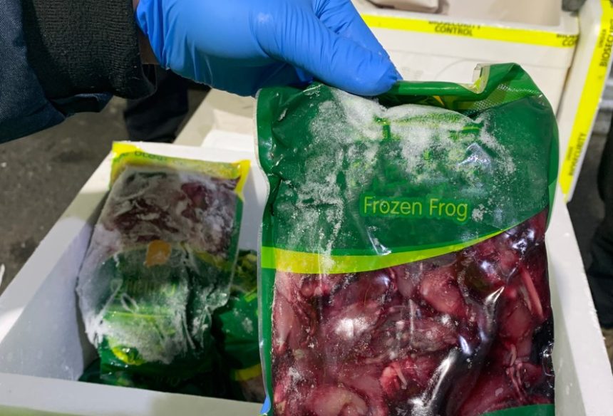 woman-jailed-for-illegally-importing-62,000-kilograms-of-black-market-produce