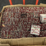 health-canada-warns-about-fake-online-drugs-after-interpol-crackdown