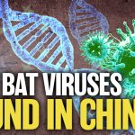 scientists-discover-20-new-bat-viruses-in-china