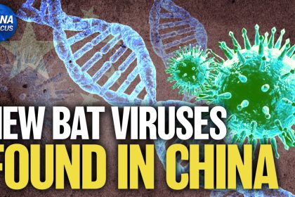 scientists-discover-20-new-bat-viruses-in-china
