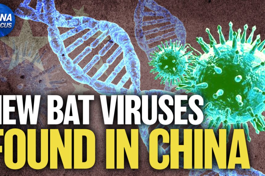 scientists-discover-20-new-bat-viruses-in-china