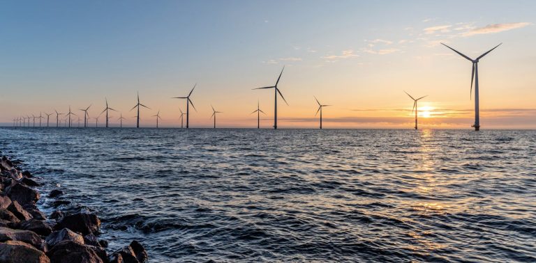 offshore-wind-in-the-mediterranean:-renewables-can,-and-must,-protect-biodiversity-–-here’s-how