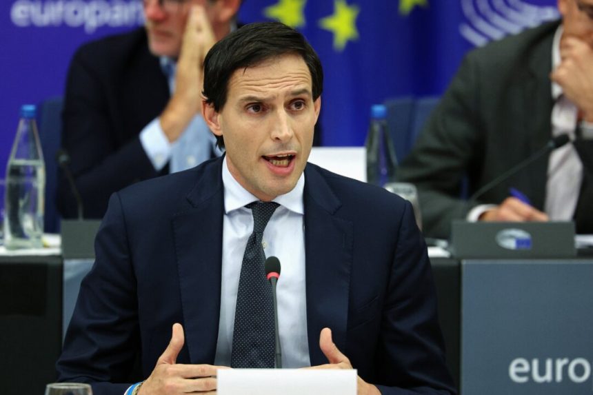 eu-opens-door-to-international-carbon-credits-in-net-zero-plan