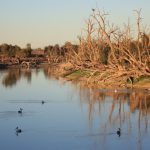 farmers-raise-alarm-as-governments-divert-water-supply-for-environment-and-indigenous-use