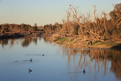farmers-raise-alarm-as-governments-divert-water-supply-for-environment-and-indigenous-use