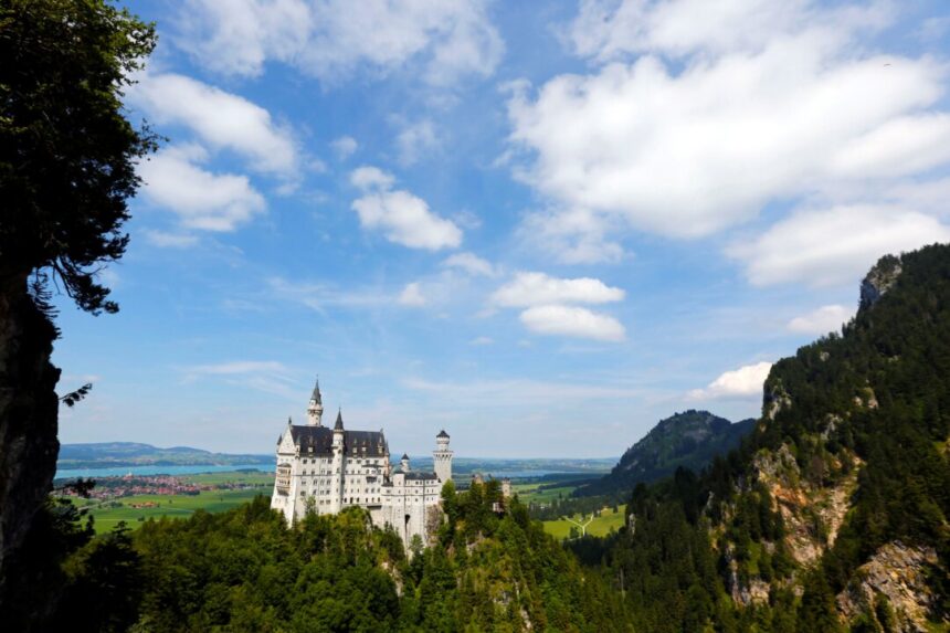 hot-dog-survives-locker-ordeal-at-germany’s-neuschwanstein-castle