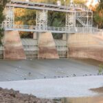 thousands-of-fish-found-dead-in-western-nsw-lake