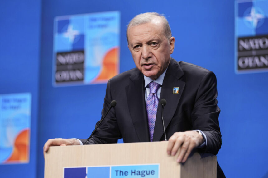 turkish-court-orders-ban-on-elon-musk’s-grok-chatbot-for-insulting-president-erdogan