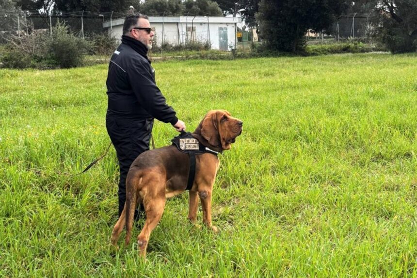 italy-outraged-at-killing-of-police-bloodhound,-found-dead-after-eating-food-laced-with-nails