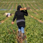 immigrants-in-europe-and-north-america-earn-18%-less-than-natives-–-here’s-why