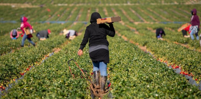 immigrants-in-europe-and-north-america-earn-18%-less-than-natives-–-here’s-why