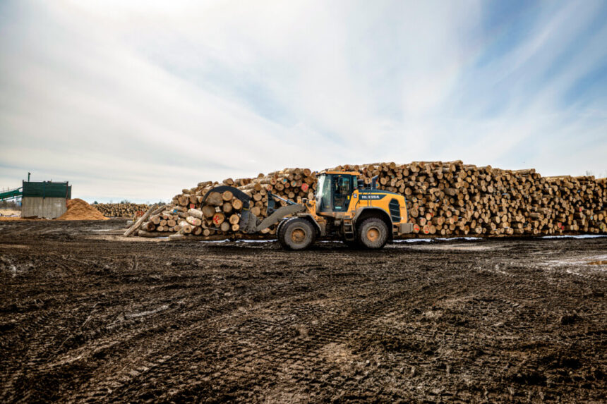 what’s-behind-the-us–canada-lumber-feud?