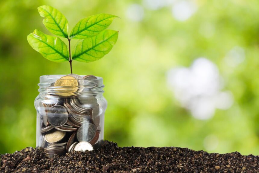 do-as-i-say,-not-as-i-do:-on-my-failings-as-an-investor