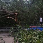 typhoon-wipha-batters-hong-kong-and-southern-china,-hundreds-of-flights-canceled
