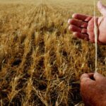 farmers-say-super-tax-threatens-thousands-of-family-farms
