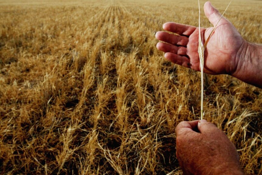 farmers-say-super-tax-threatens-thousands-of-family-farms