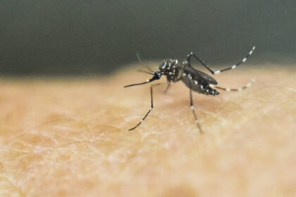 chikungunya-fever-spreading-rapidly-in-south-china,-ccp-downplays-outbreak