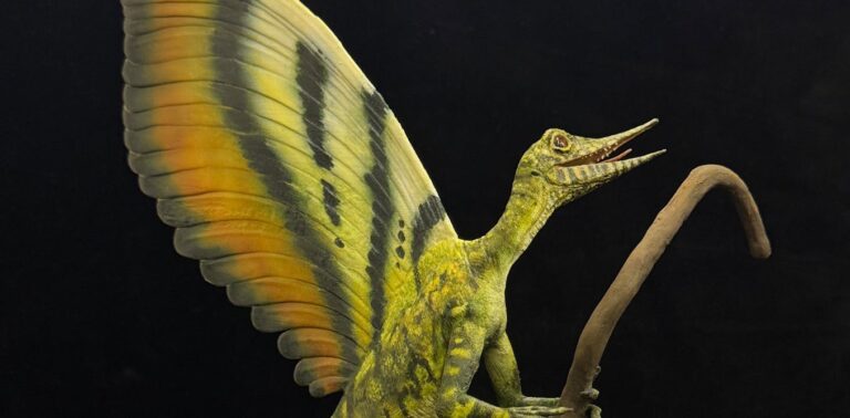 mysterious-fossil-may-rewrite-story-of-skin-and-feather-evolution-in-reptiles