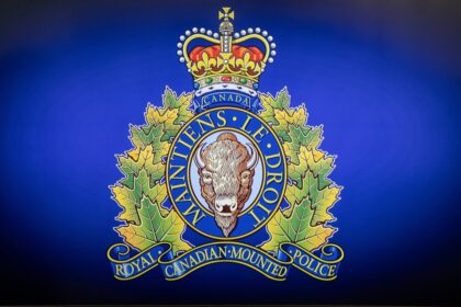 falling-tree-kills-mother,-26,-and-five-month-old-baby-at-bc-campground