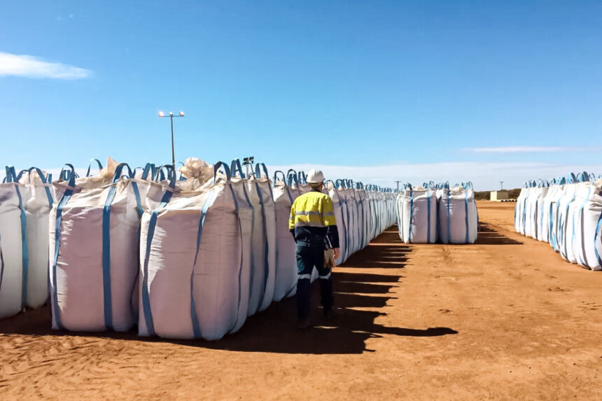 australia-mulls-price-floor-for-rare-earths-to-back-critical-minerals-sector