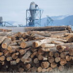 us-raises-duties-on-canadian-lumber-to-over-35-percent