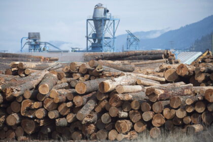 us-raises-duties-on-canadian-lumber-to-over-35-percent