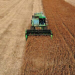 trump-wants-china-to-quadruple-us-soybean-orders