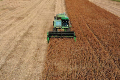 trump-wants-china-to-quadruple-us-soybean-orders