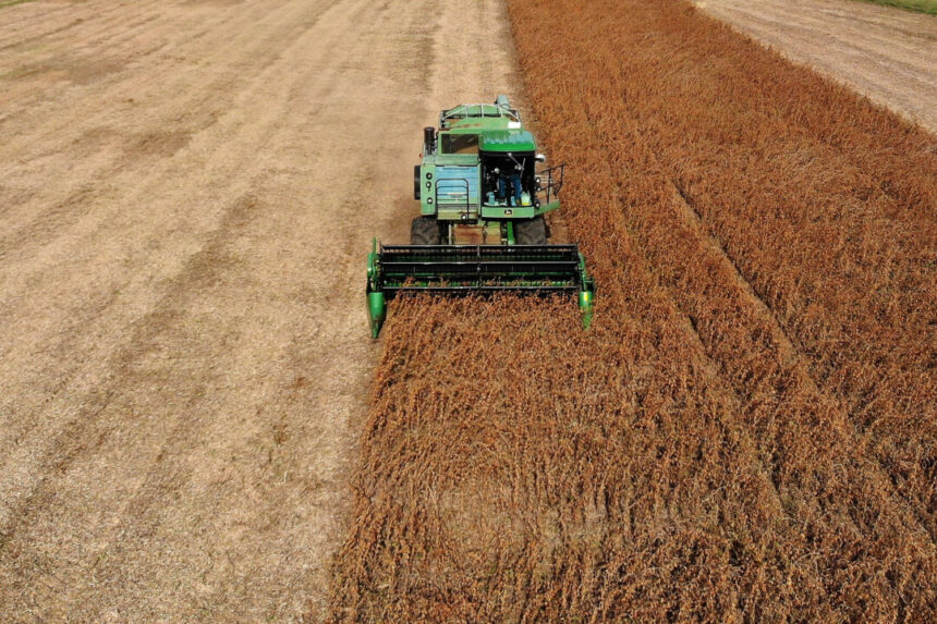 trump-wants-china-to-quadruple-us-soybean-orders