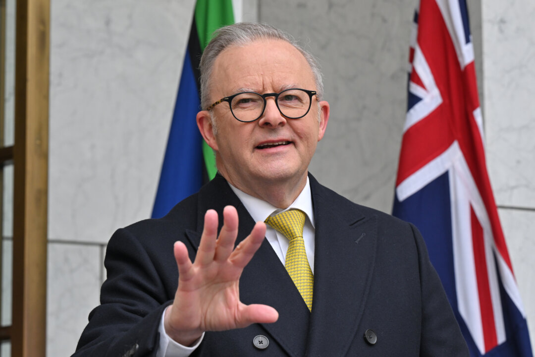 terror-group-hamas-thanks-albanese-for-‘courage’-in-recognising-palestinian-state