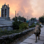 spain-battles-20-major-wildfires,-deploys-more-troops