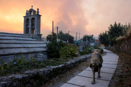 spain-battles-20-major-wildfires,-deploys-more-troops