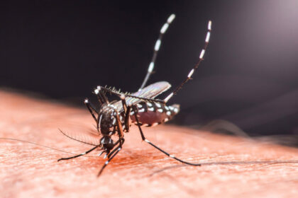 chikungunya-outbreak-sparks-covid-style-controls-in-china