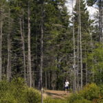ns-man-files-legal-challenge-against-provincial-forest-ban,-$28,000-fine