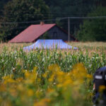 russian-drone-fell-in-eastern-poland,-warsaw-says