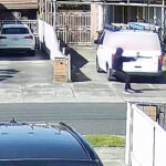 self-defence-expert-calls-for-rethink-on-gun-laws-after-melbourne-crime-surge