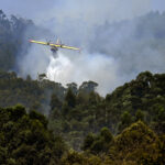 day-in-photos:-fire-in-spain,-belgian-diplomatic-mission-to-africa,-and-big-movies-pumpkin-exhibition